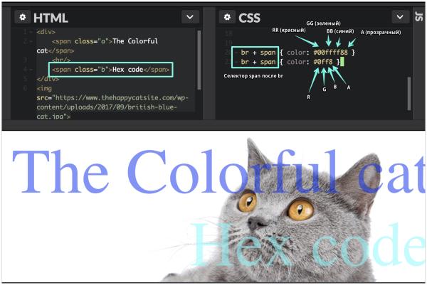 Основы CSS цвета